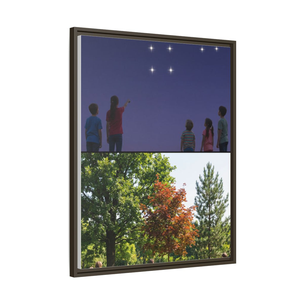 Framed Matte Canvas - Discovery — Espresso / 1.25"