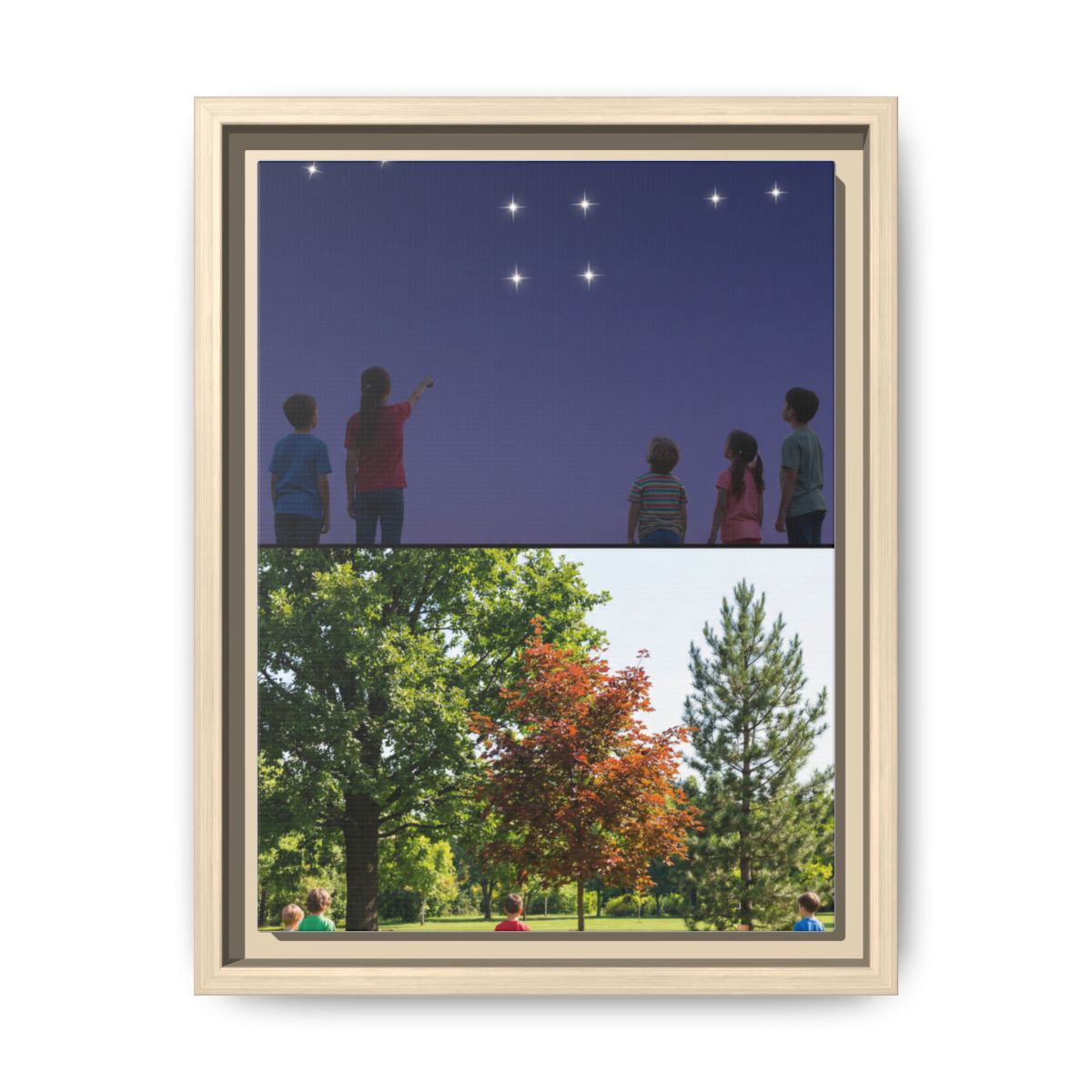 Framed Matte Canvas - Discovery — Natural / 1.25"