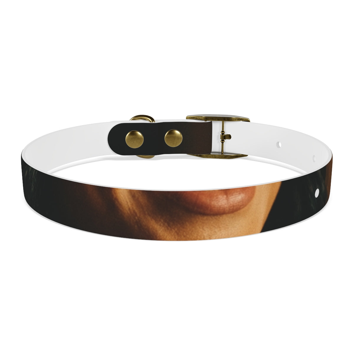 Dog Collar - Night Luxe Radiance