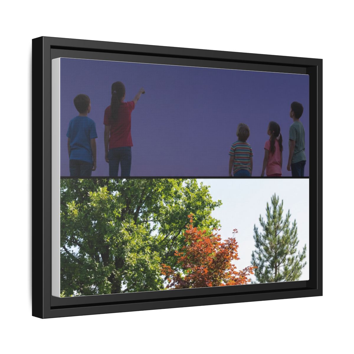 Framed Matte Canvas - Wilderness Gallery