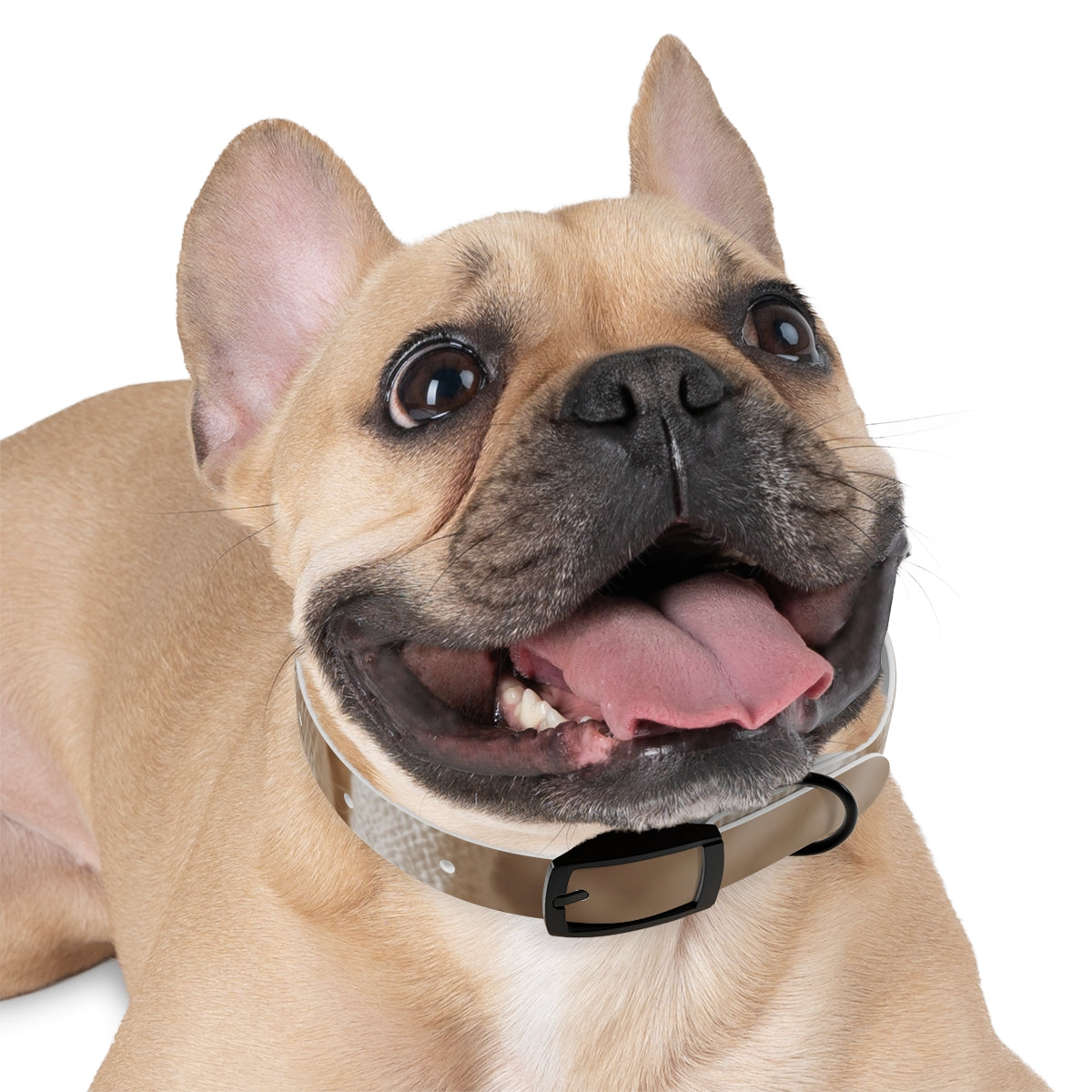 Dog Collar - Earth Toned Pet Style