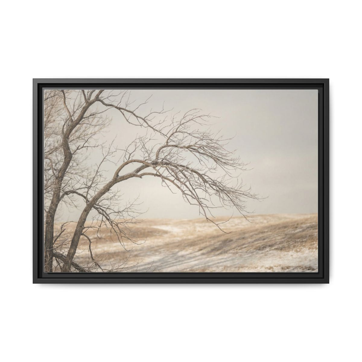 Framed Canvas Art - Minimalist Winter — Black / 1.25"