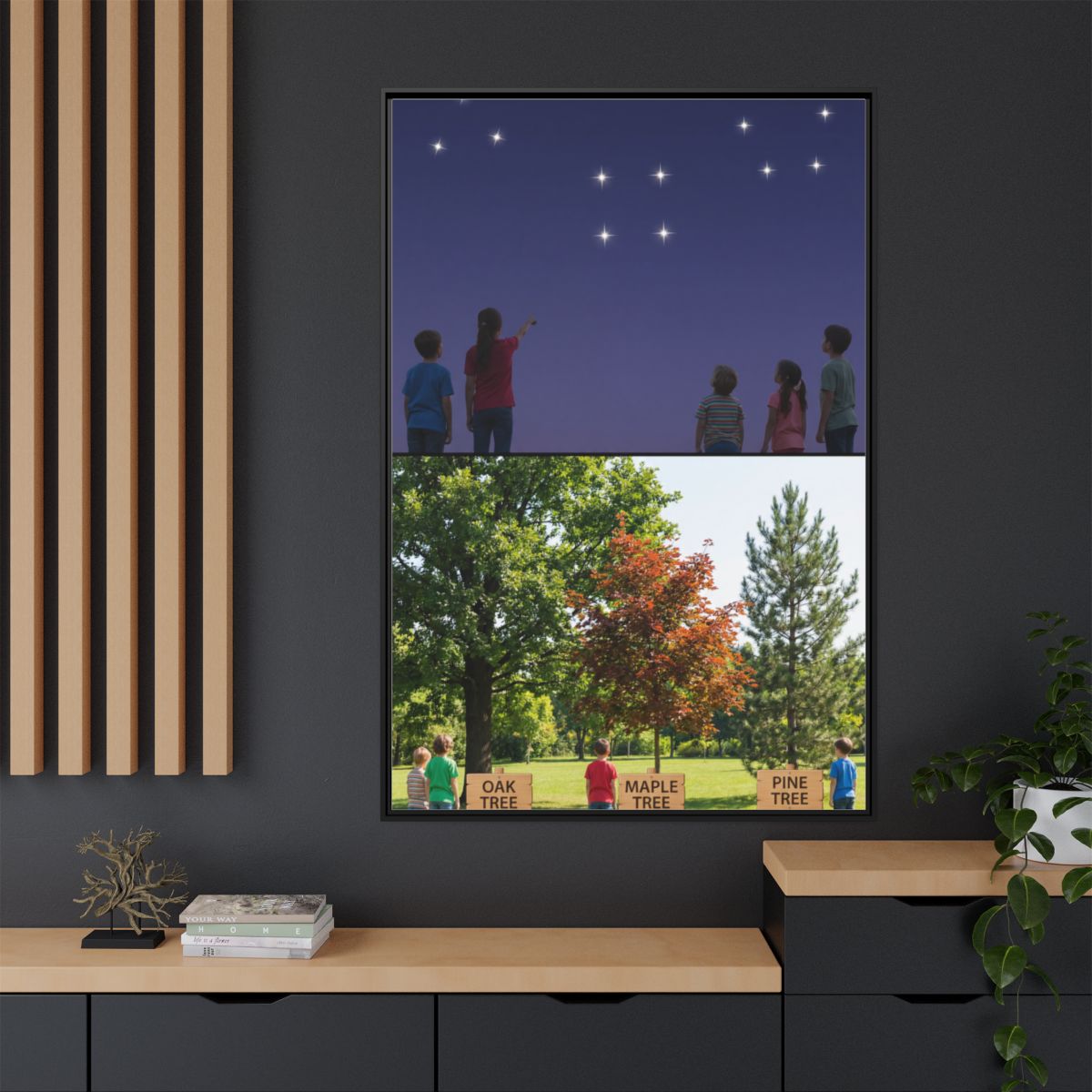 Framed Matte Canvas - Discovery — Black / 1.25"