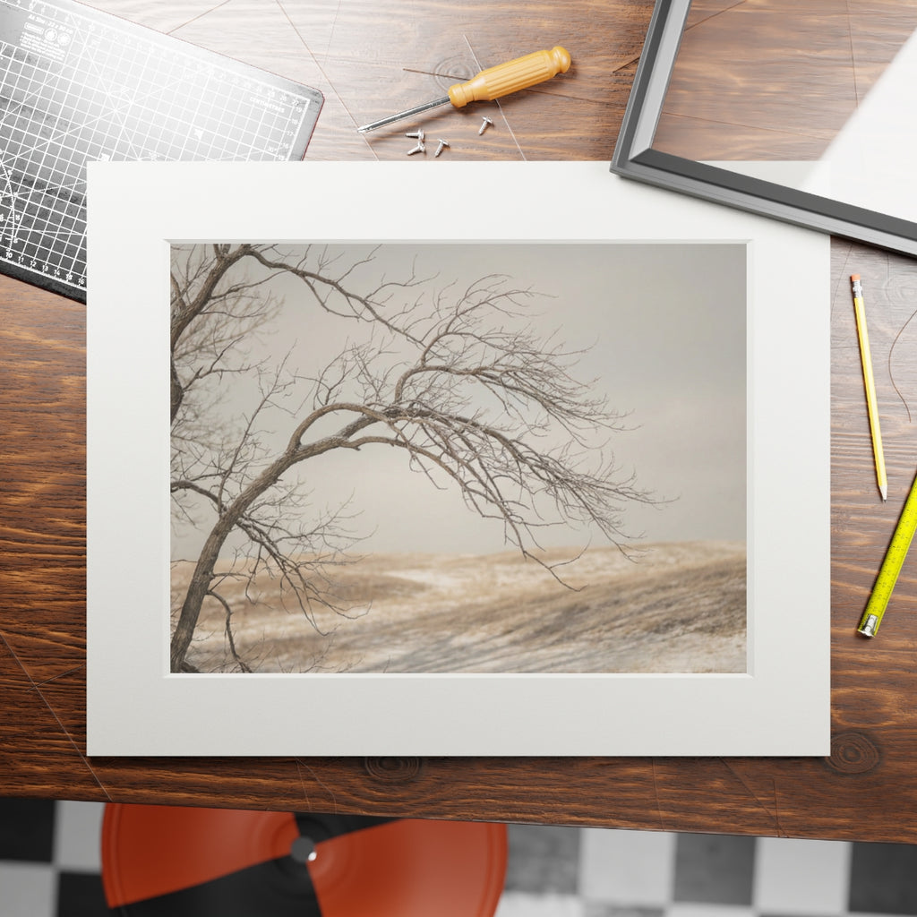 Fine Art Prints - Winter Branch Solitude Landscape —... |...