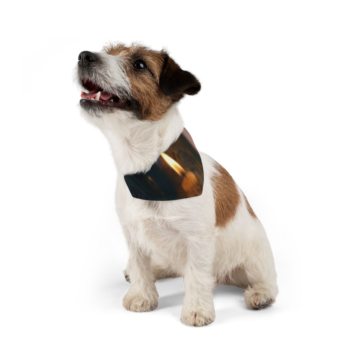 Pet Bandana Collar - Amber Iris Reflection Fine Art Print |...