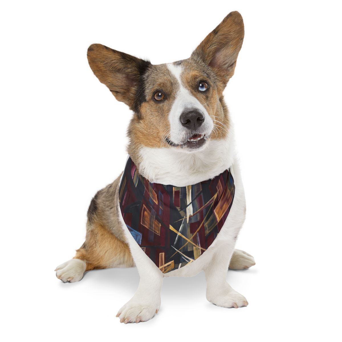 Pet Bandana Collar - Urban Walk | Echovira Gallery