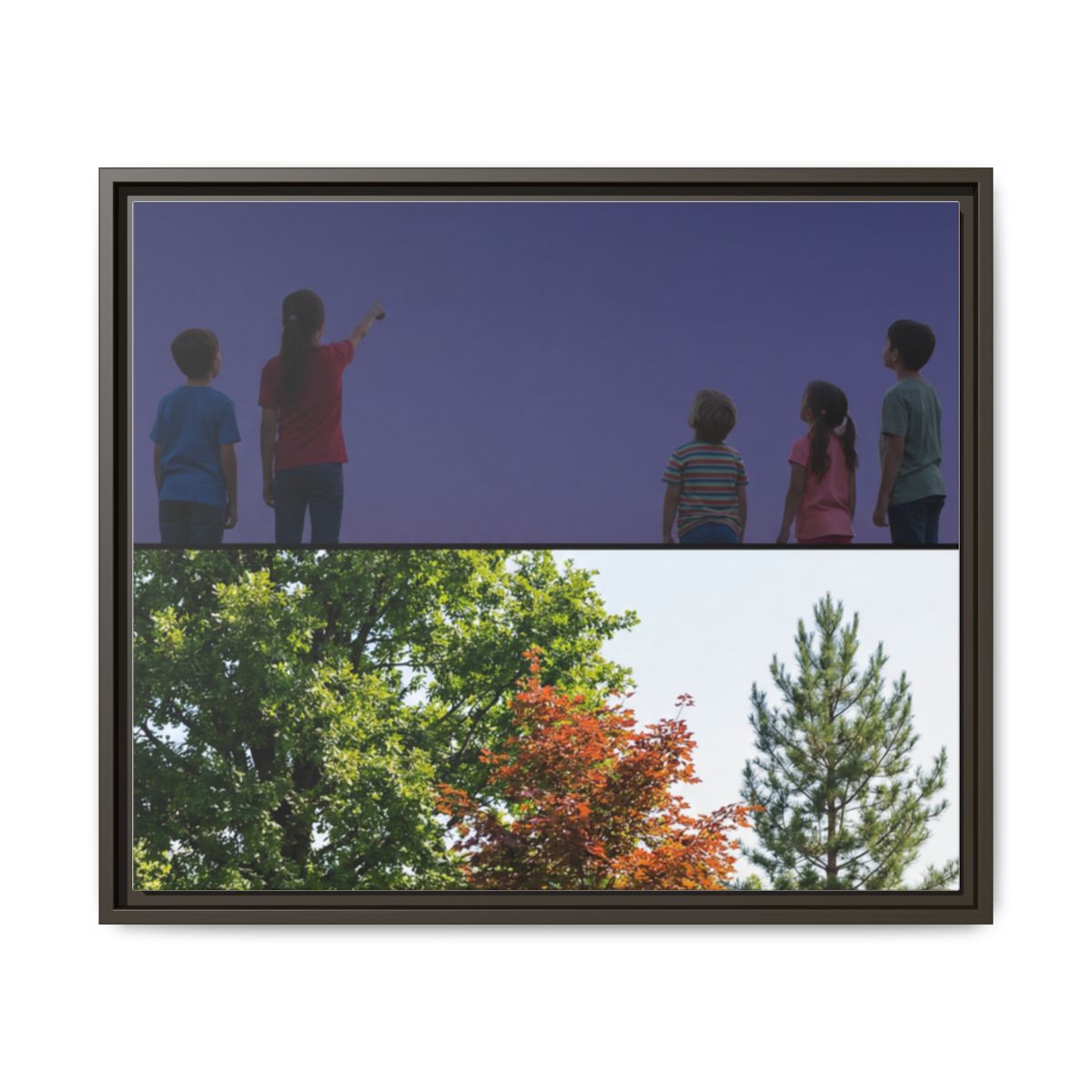 Framed Matte Canvas - Wilderness Gallery