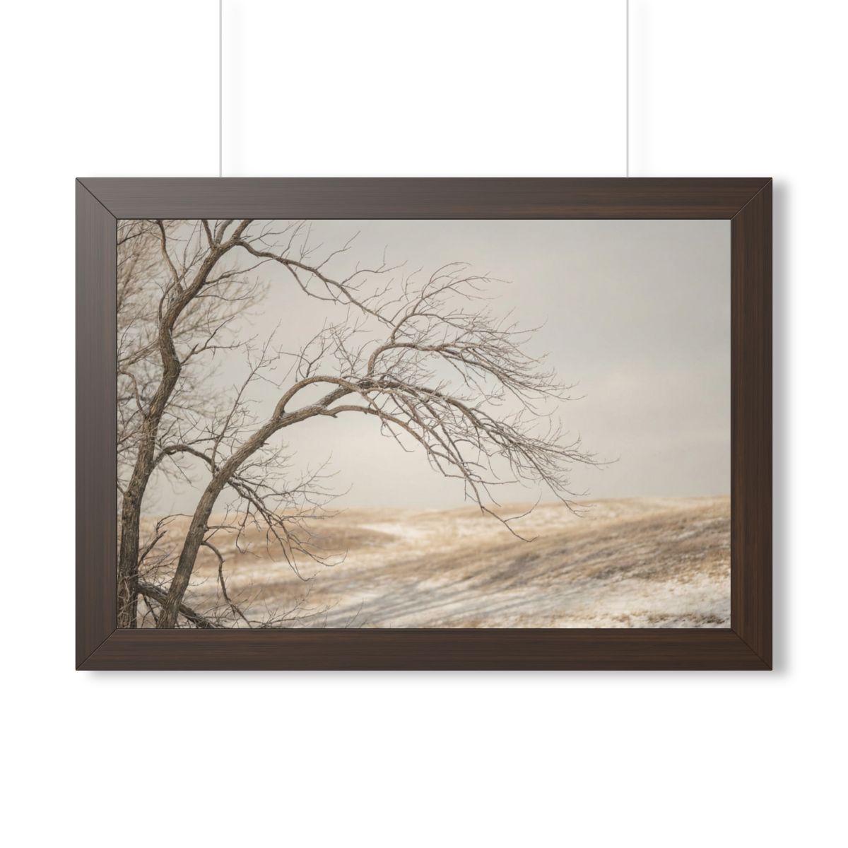 Framed Horizontal Poster - Winter Branch Solitude Landscape...