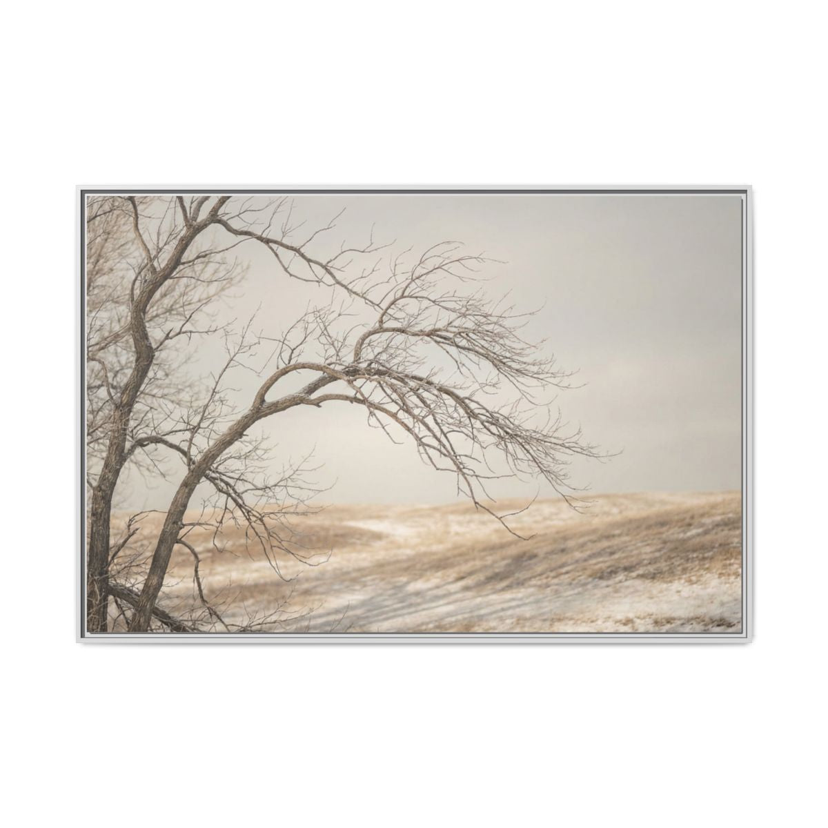 Matte Canvas, Framed - Winter Branch Solitude Landscape —......