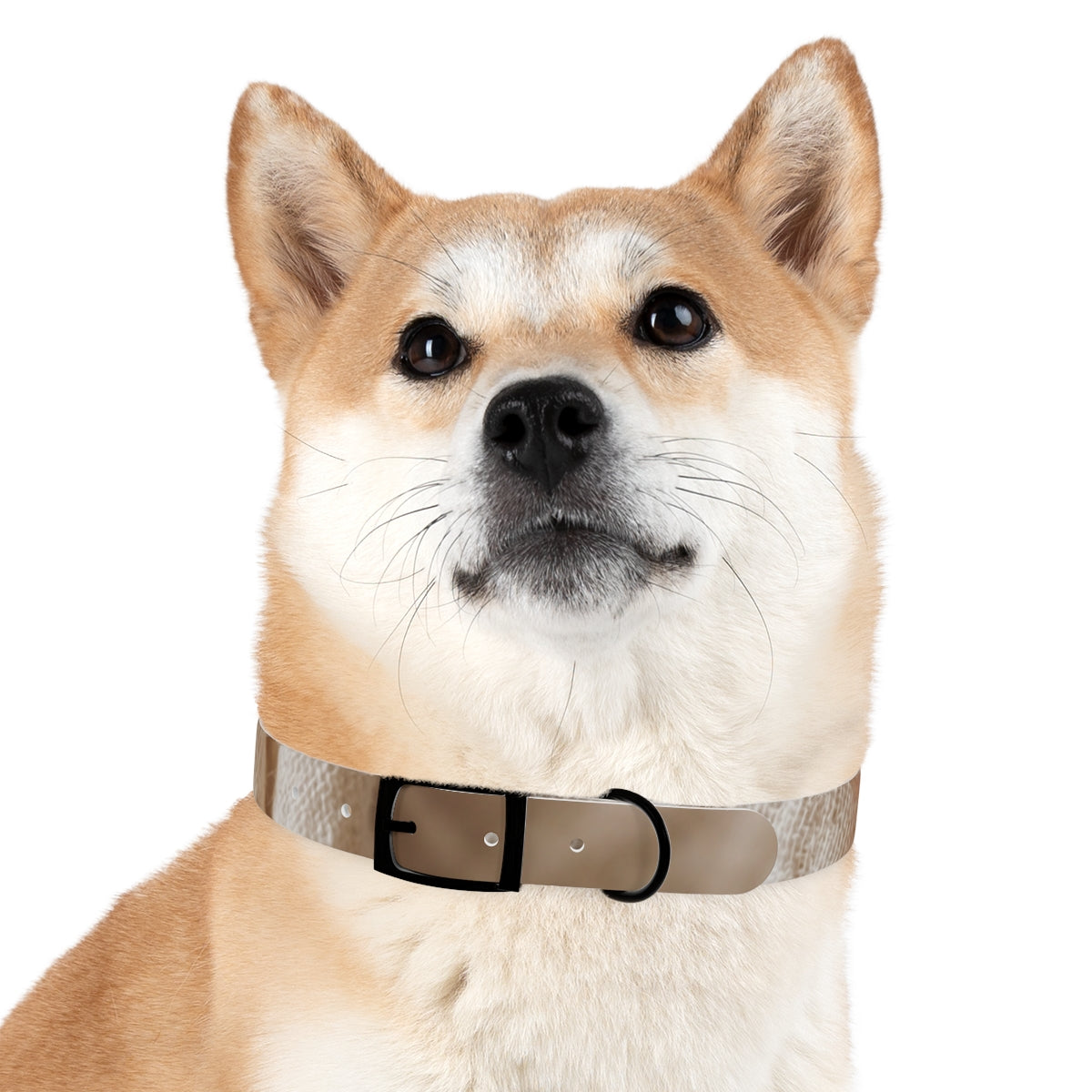 Dog Collar - Earth Toned Pet Style