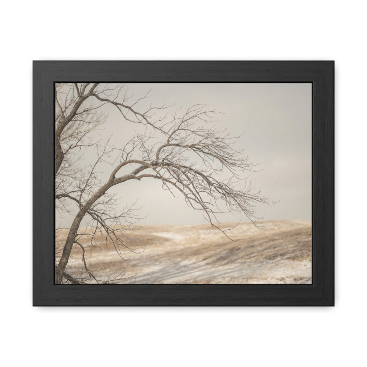 Framed Poster - Minimalist Winter Tree — Landscape