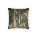 Poly Velvet Pillow - Ancient Sanctuary | Echovira Gallery