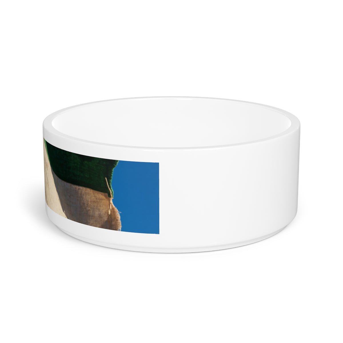 Pet Bowl - Historic Emblem
