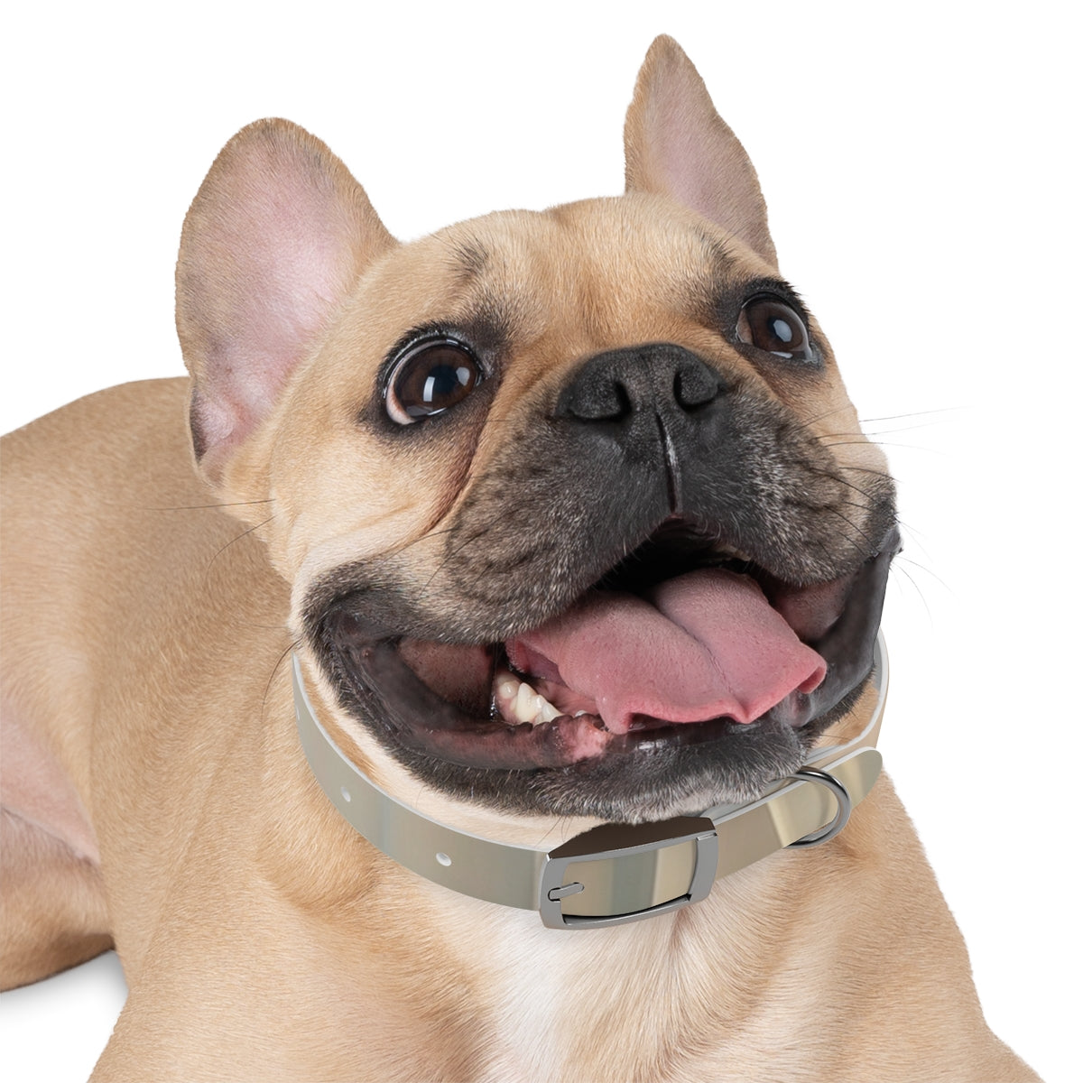 Pastel Dream Dog Collar - Gentle Pet Style