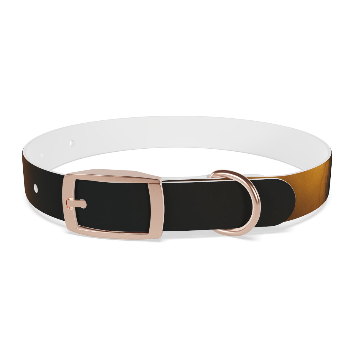 Dog Collar - Night Luxe Radiance