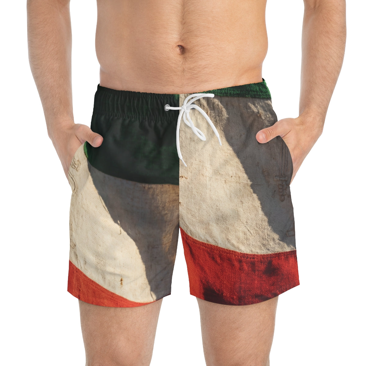 Swim Trunks - Vintage Lion & Sun