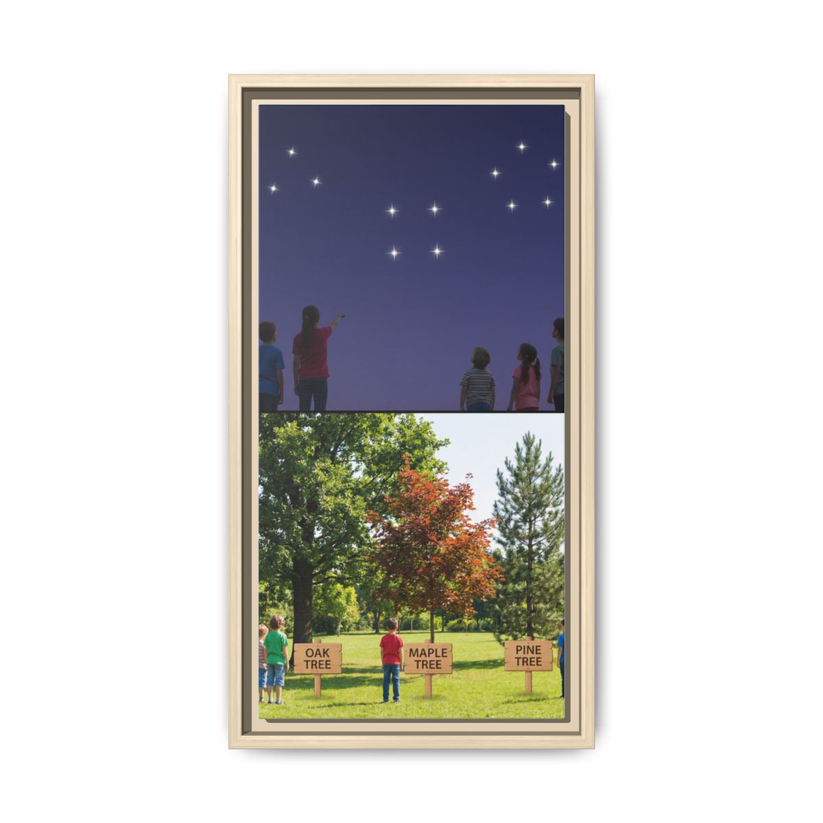 Framed Matte Canvas - Discovery — Natural / 1.25"