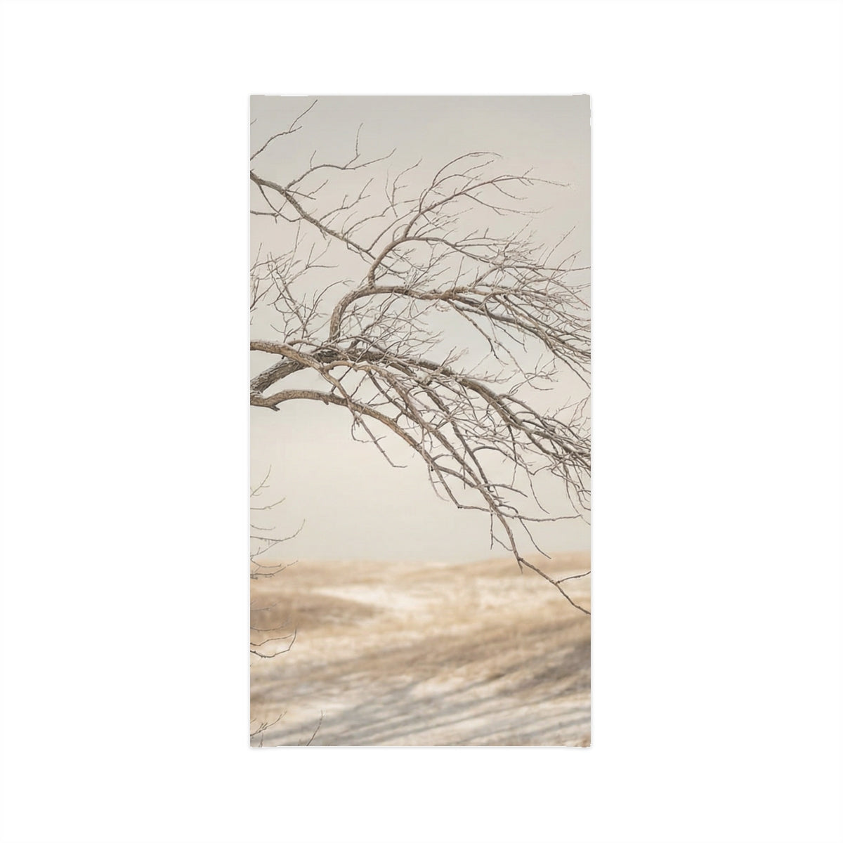 Men's Lightweight Neck Gaiter - Silent Branches Winter... |...
