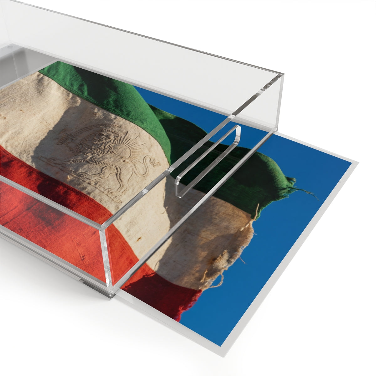 Acrylic Serving Tray - Historic Lion
