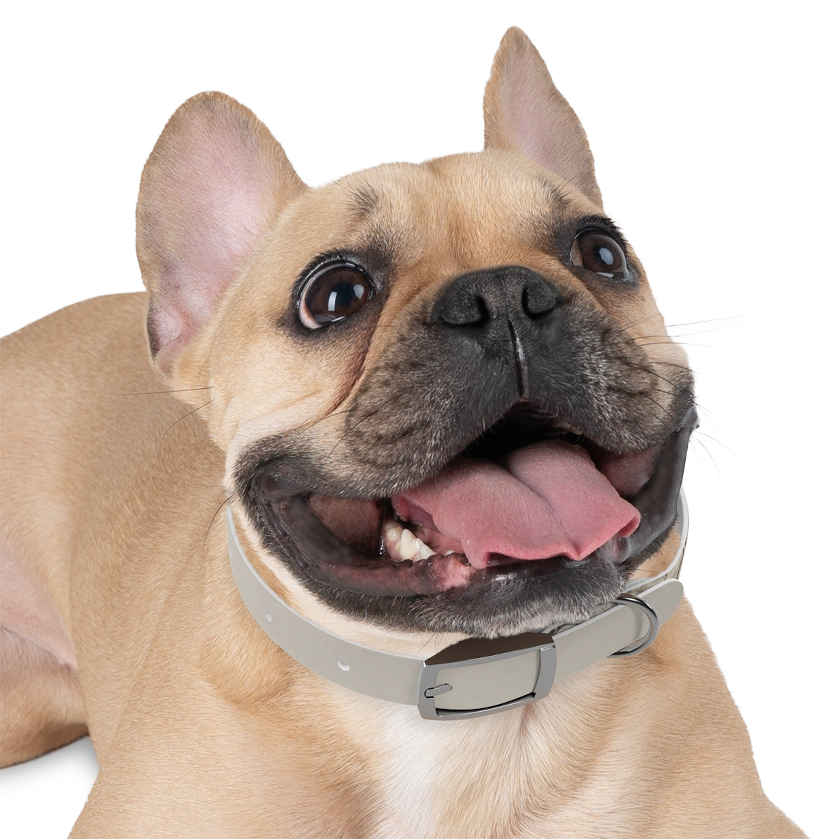 Dog Collar - Hushed Winter Landscape
