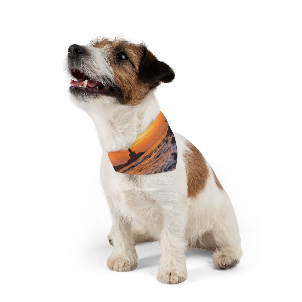 Pet Bandana Collar - Majestic Dawn