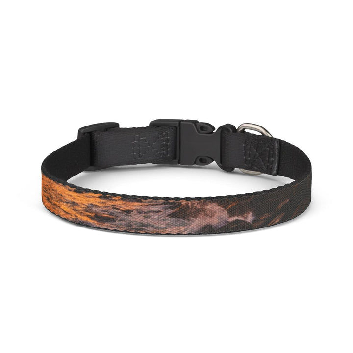 Clip-on Pet Collar - Sacred Coastal Sunset Landscape Art