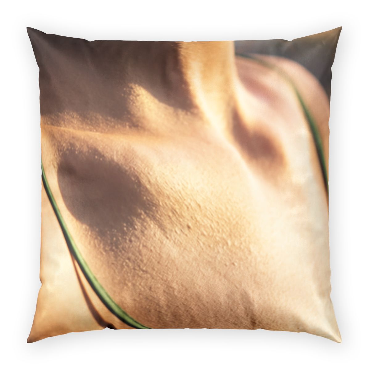 Golden Hour Poly Velvet Pillow - Emerald Sunset | Echovira...
