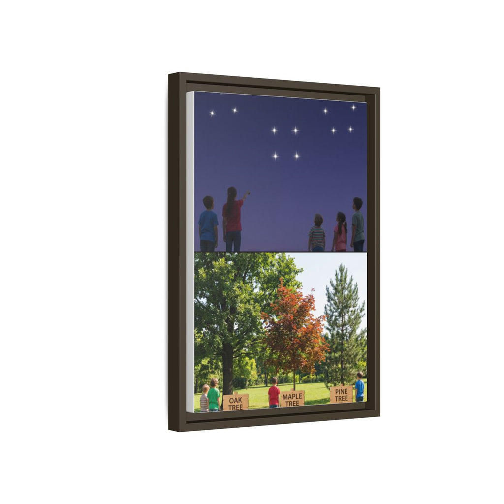 Framed Matte Canvas - Discovery — Espresso / 1.25"