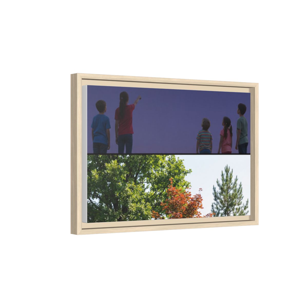 Matte Canvas, Framed - Constellation Woods