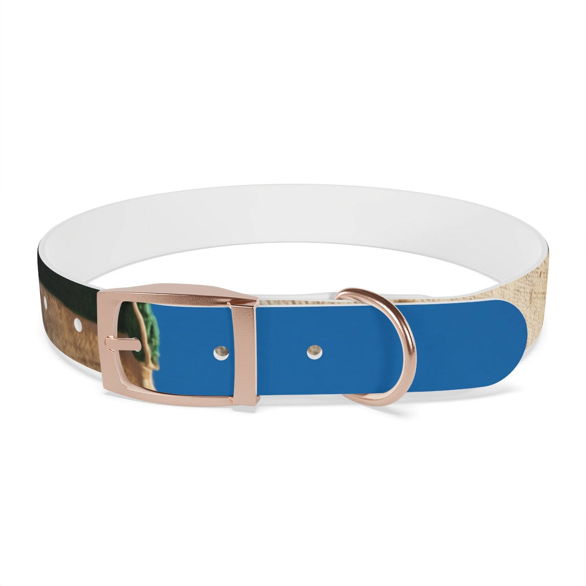 Dog Collar - Heritage Pride
