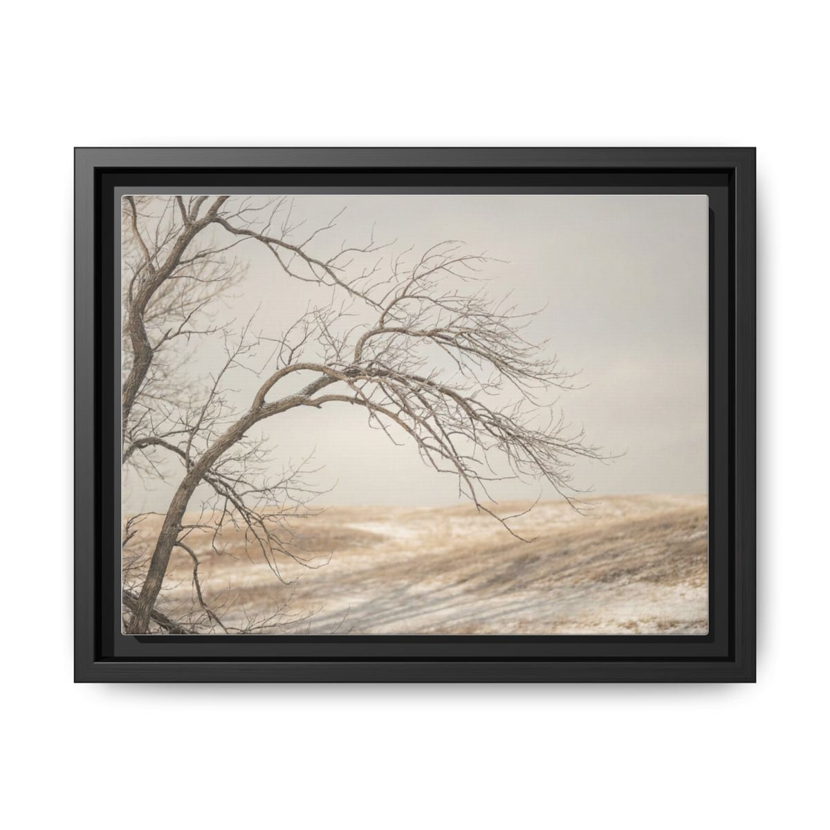 Framed Canvas Art - Minimalist Winter — Black / 1.25"