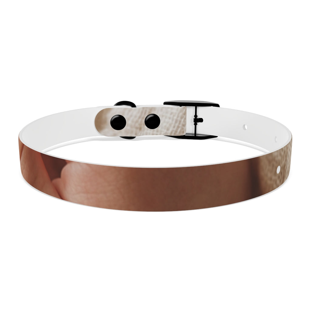 Dog Collar - Earth Toned Pet Style