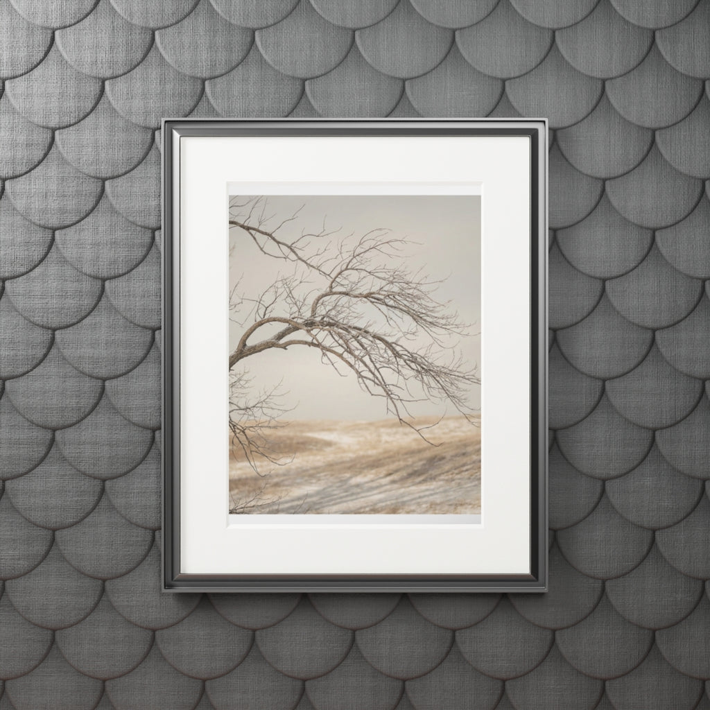 Framed Fine Art Print - Hushed Winter — Portrait