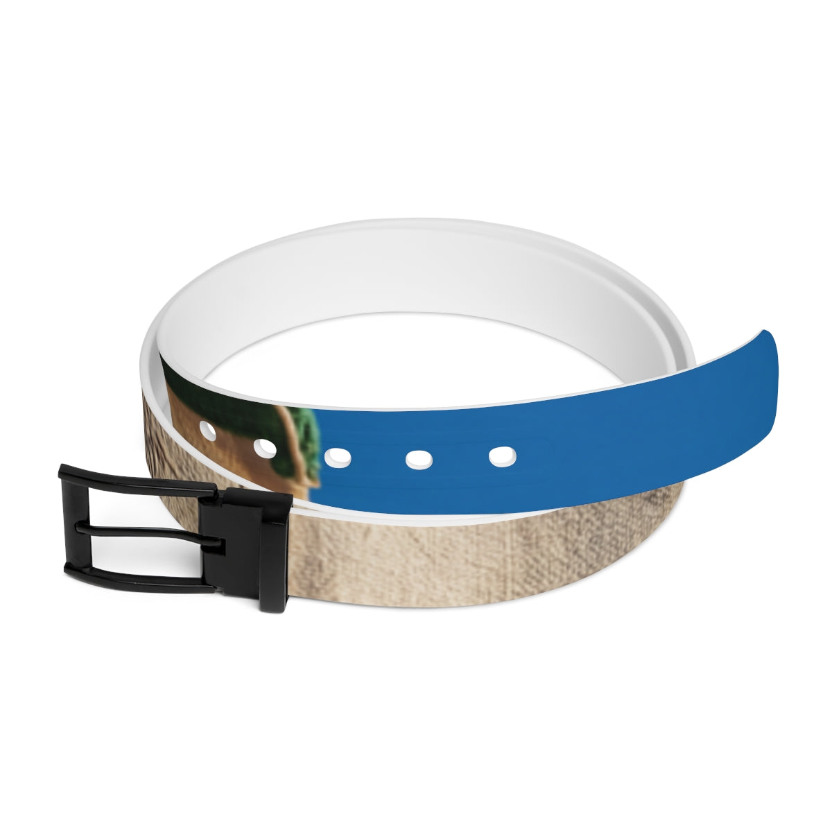 Belt - Vintage Lion and Sun