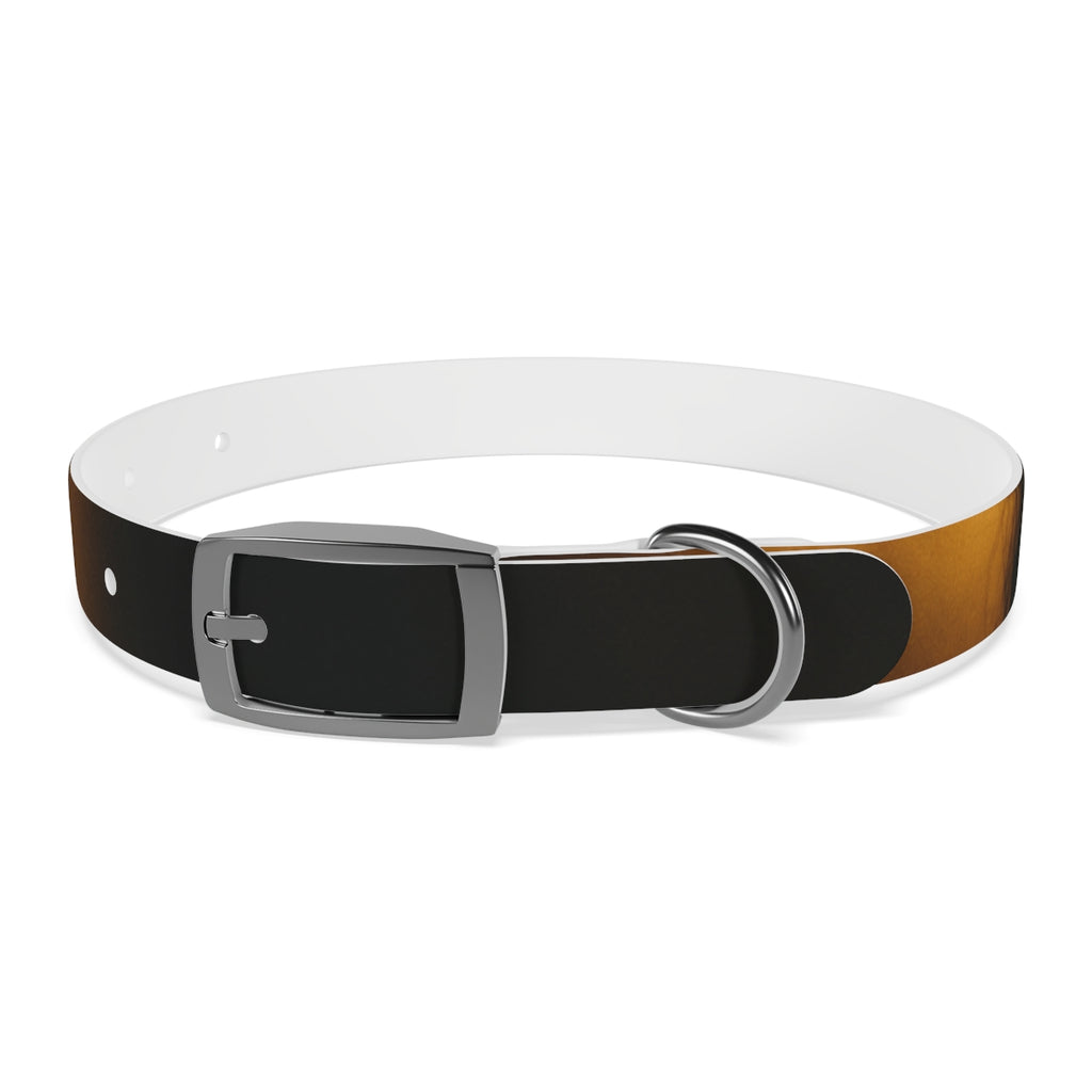 Dog Collar - Night Luxe Radiance