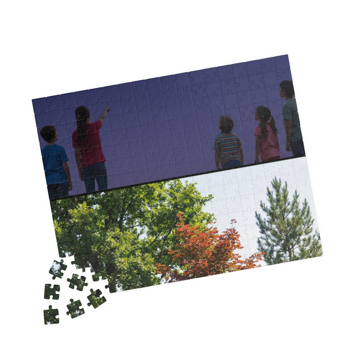 Premium Puzzle - Nature Lesson