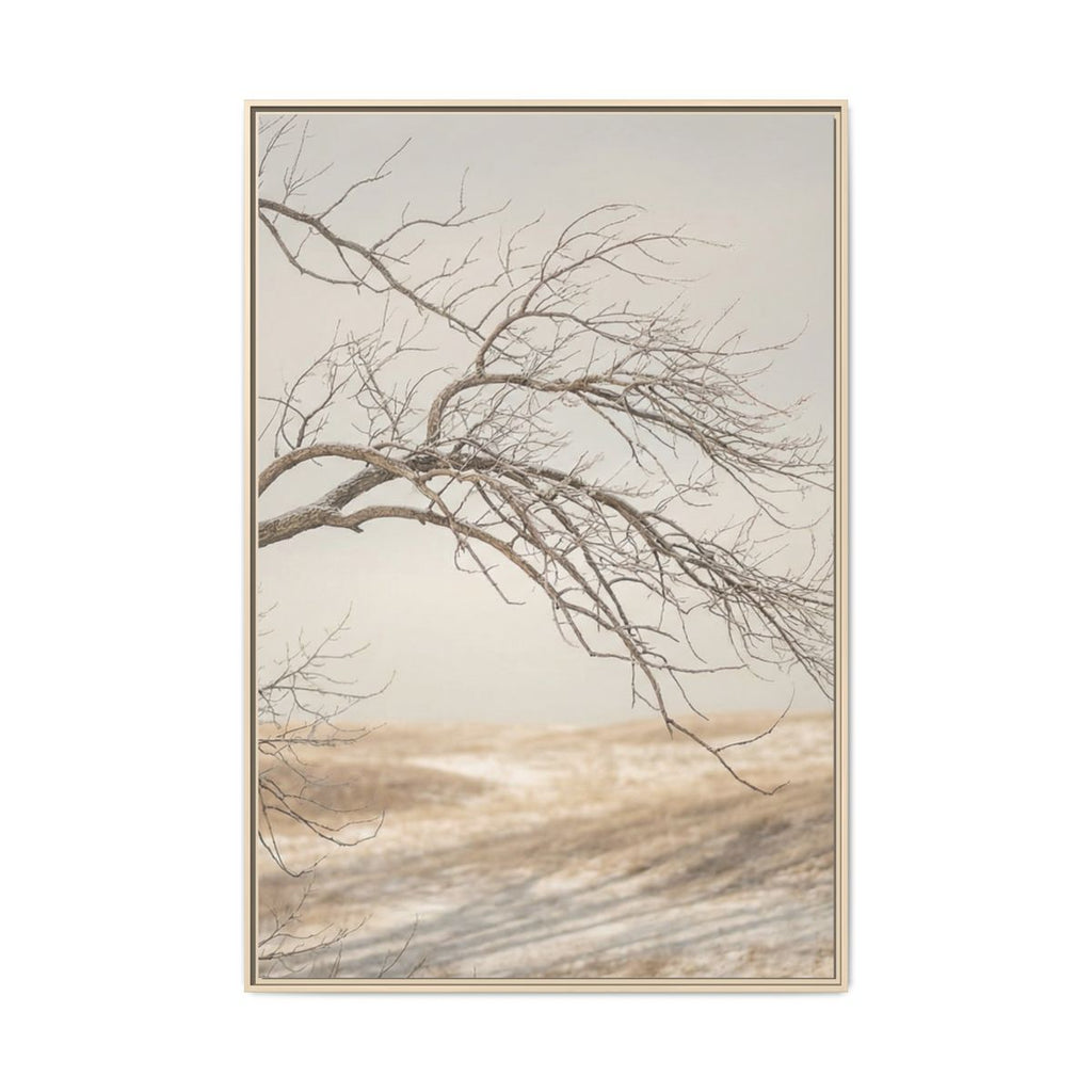 Matte Canvas, Framed - Winter Branch Solitude Landscape —......
