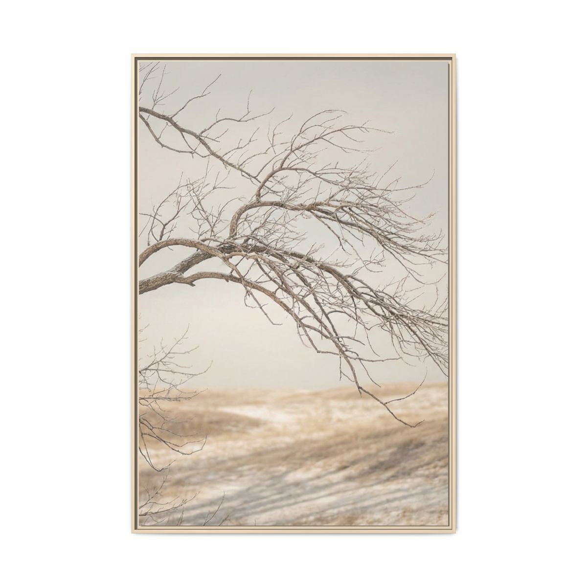Matte Canvas, Framed - Winter Branch Solitude Landscape —......