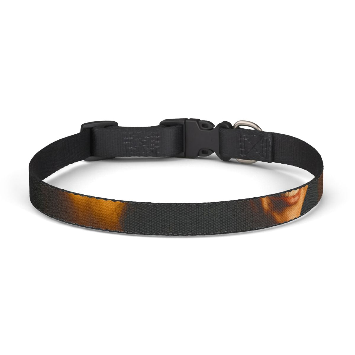 Pet Collar - Midnight Radiance