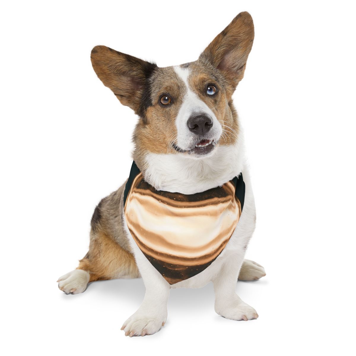 Pet Bandana Collar - Luminous Amber Sphere - Radiant Glow |...