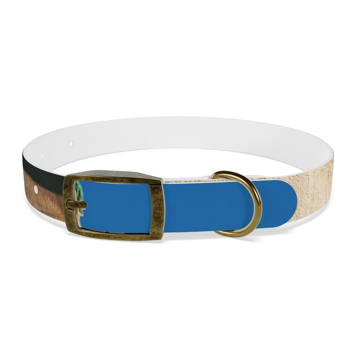 Dog Collar - Heritage Pride