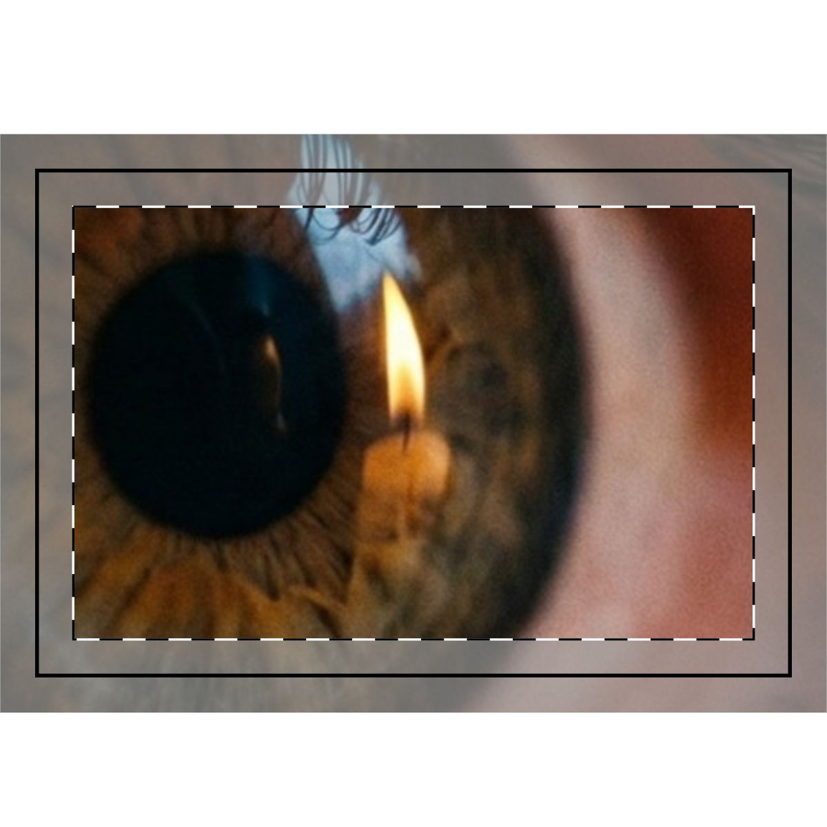 Hand Flag - Amber Iris Reflection Fine Art Print (1 & 5 pcs)...