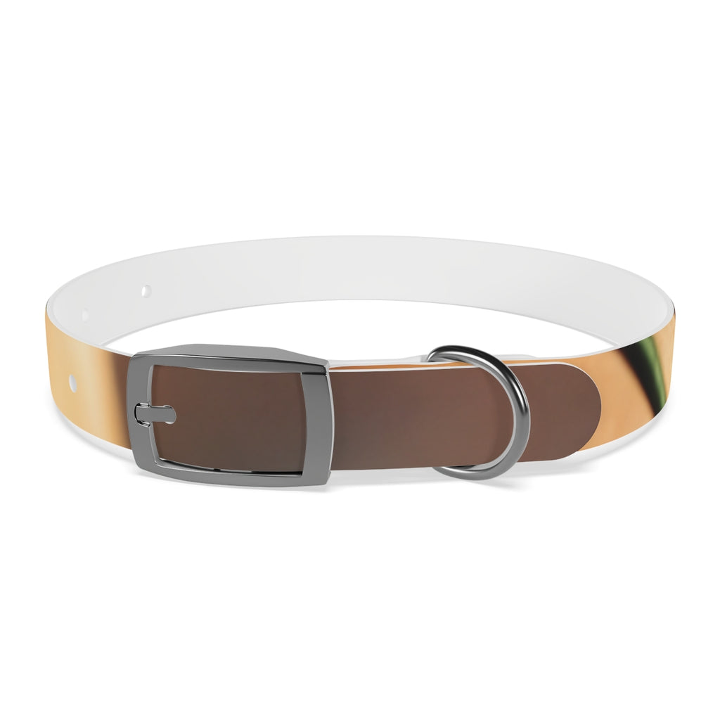 Dog Collar - Golden Hour Glow