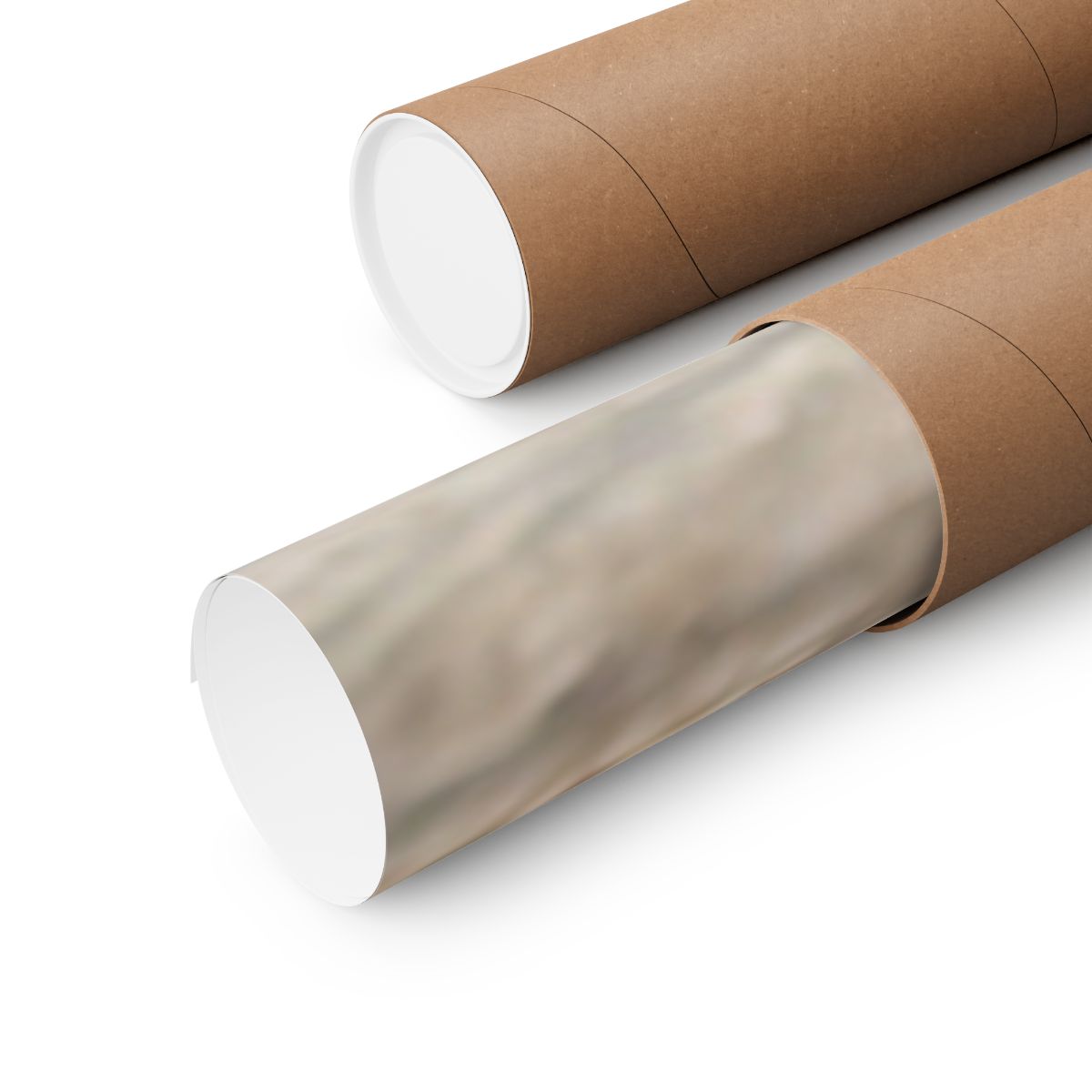 Matte Vertical Posters - Winter Branch Solitude Landscape (8×10 & 36×54)