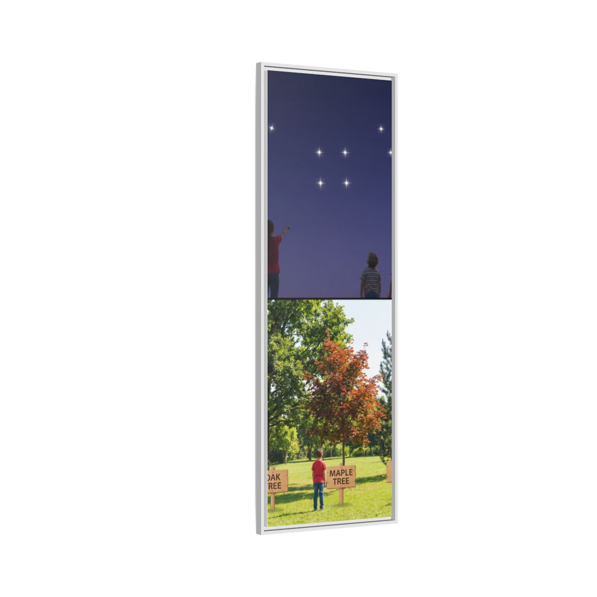 Framed Matte Canvas - Discovery — White / 1.25"