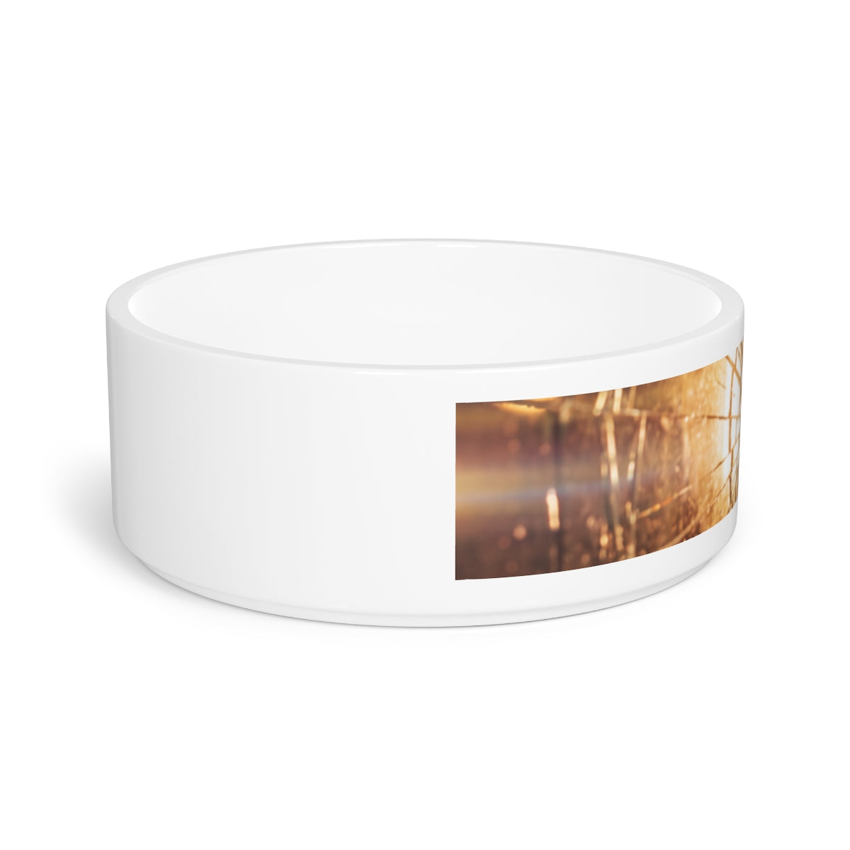 Pet Bowl - Shattered Amber Glass Art | Echovira Gallery
