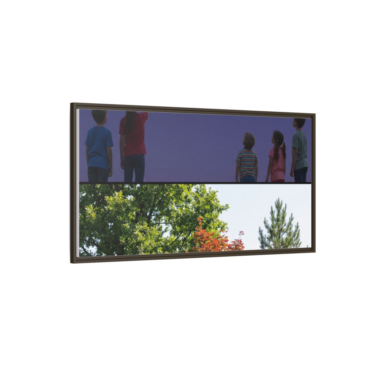 Framed Matte Canvas - Wilderness Gallery — Espresso / 1.25"