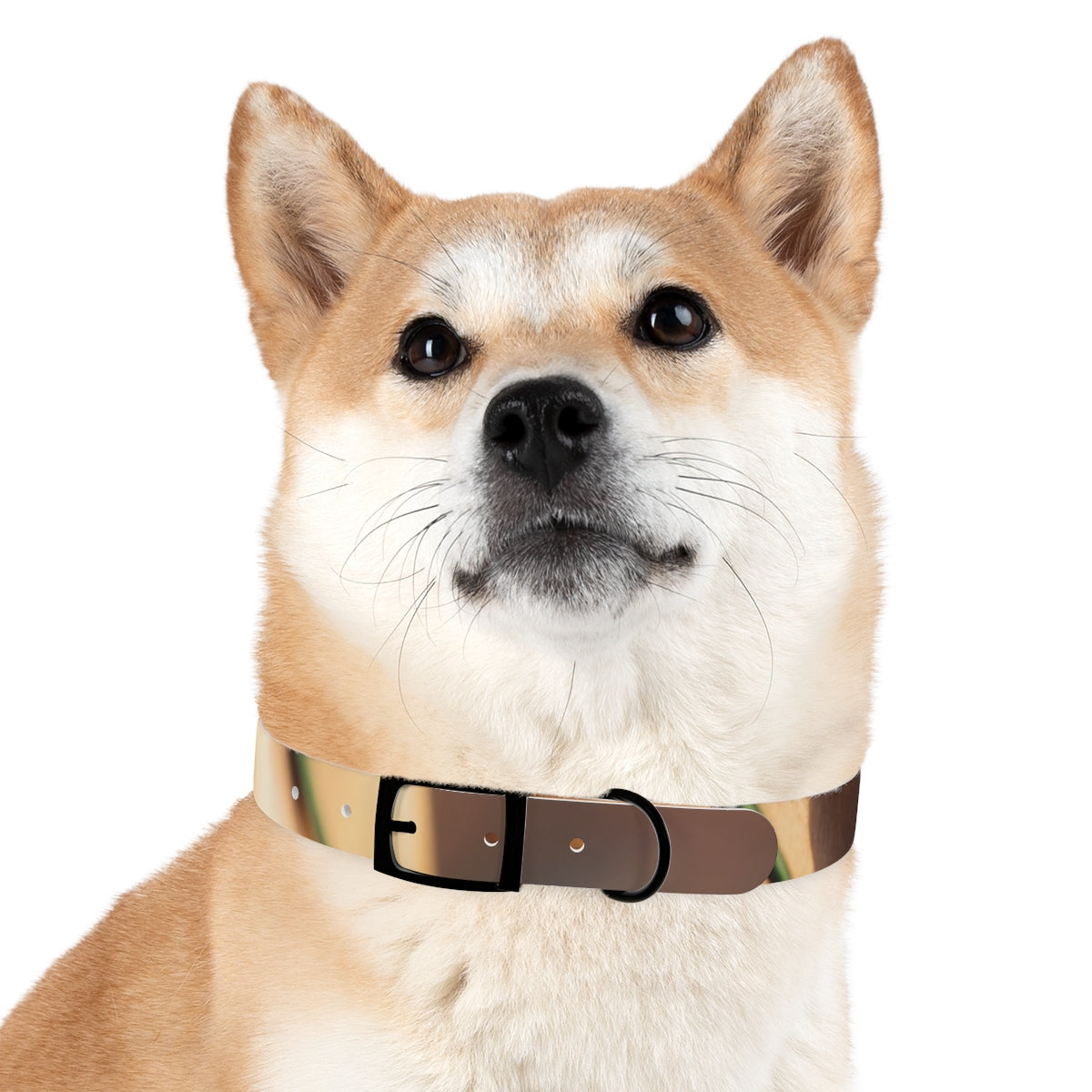 Dog Collar - Golden Hour Glow