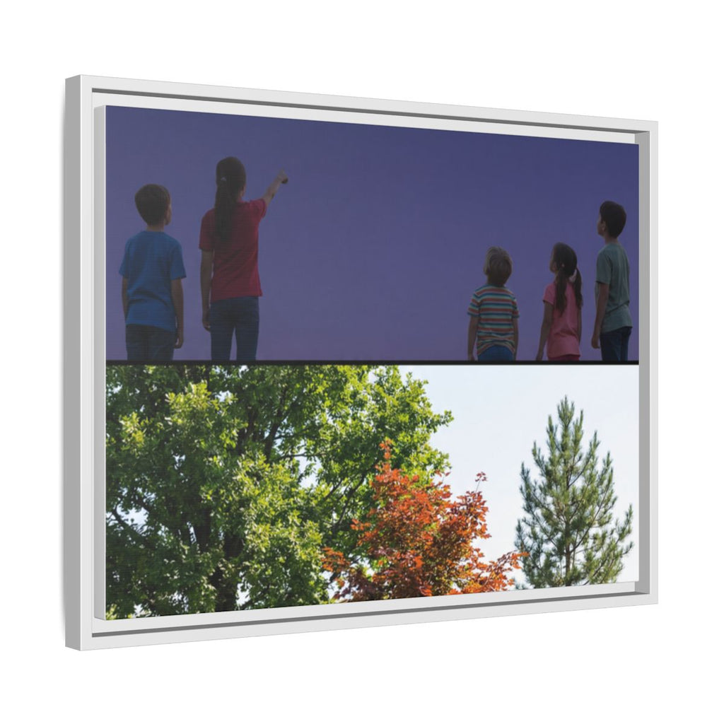 Framed Matte Canvas - Discovery — White / 1.25"