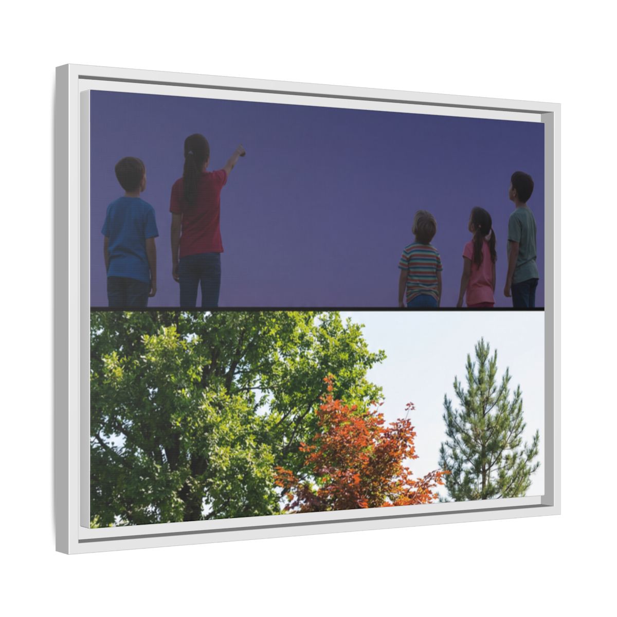 Framed Matte Canvas - Discovery — White / 1.25"